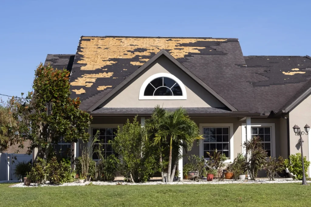 How Roof Maintenance and Repairs Save You Money