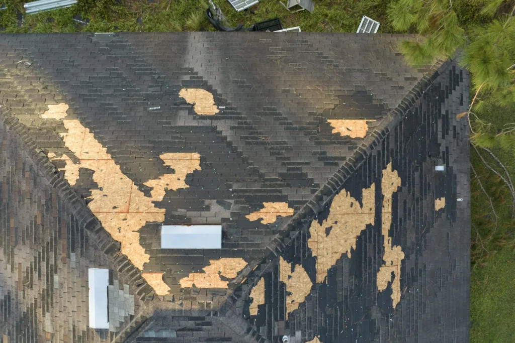 Natural disaster impact