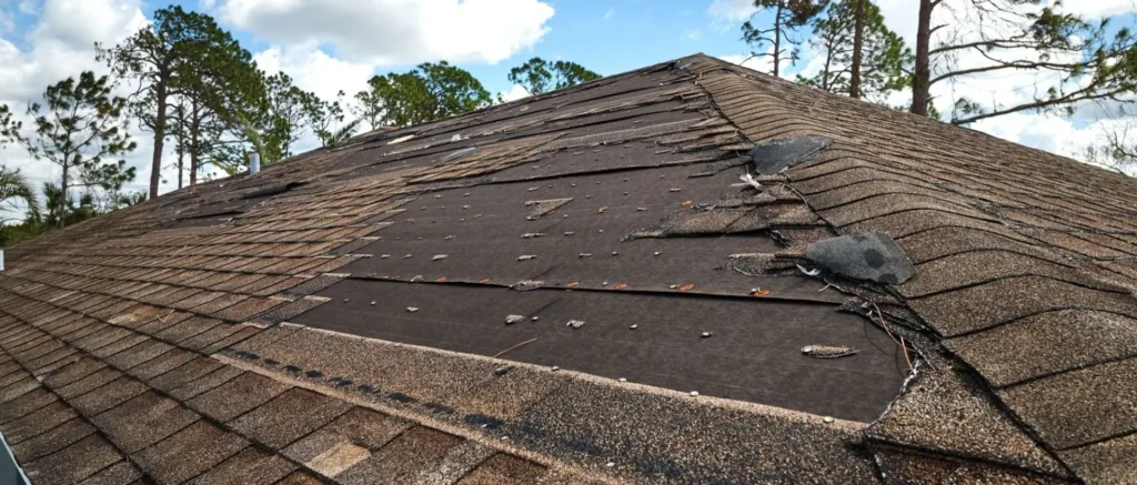 Why Is My Roof Leaking? Causes & Repair Solutions